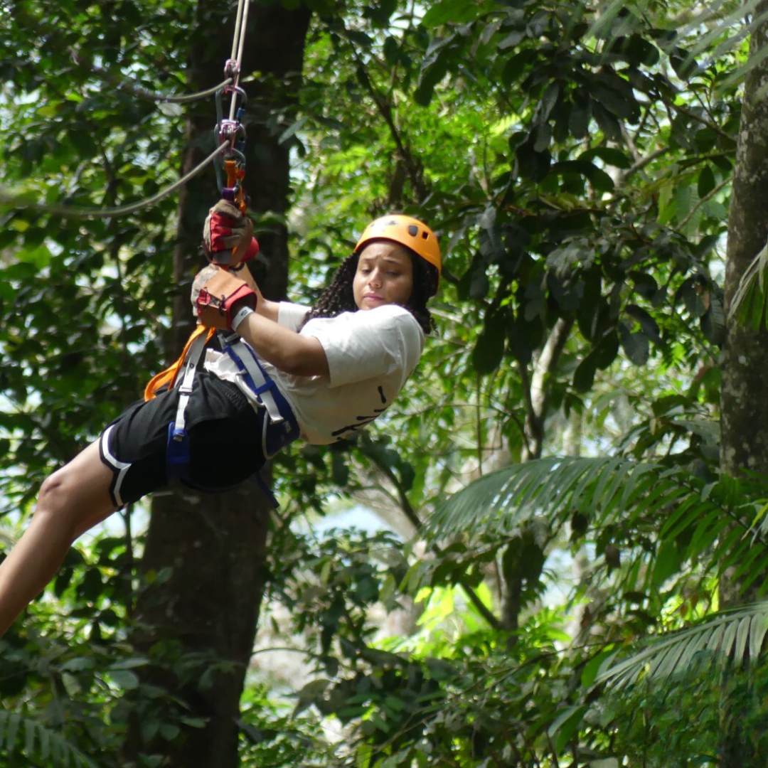 Zip Line Sloth Sanctuary Private Tour Minimum Price Is Per