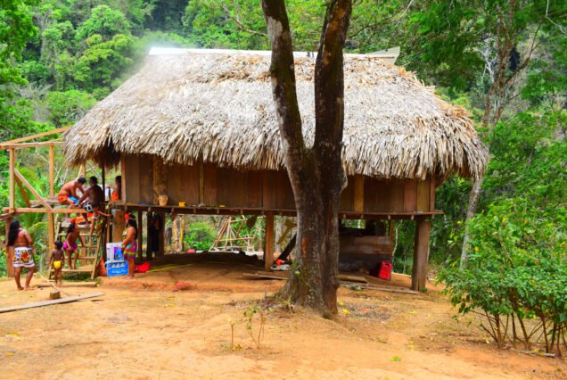 Emberá community tour: Discover indigenous traditions, nature's beauty, and heartfelt connections.